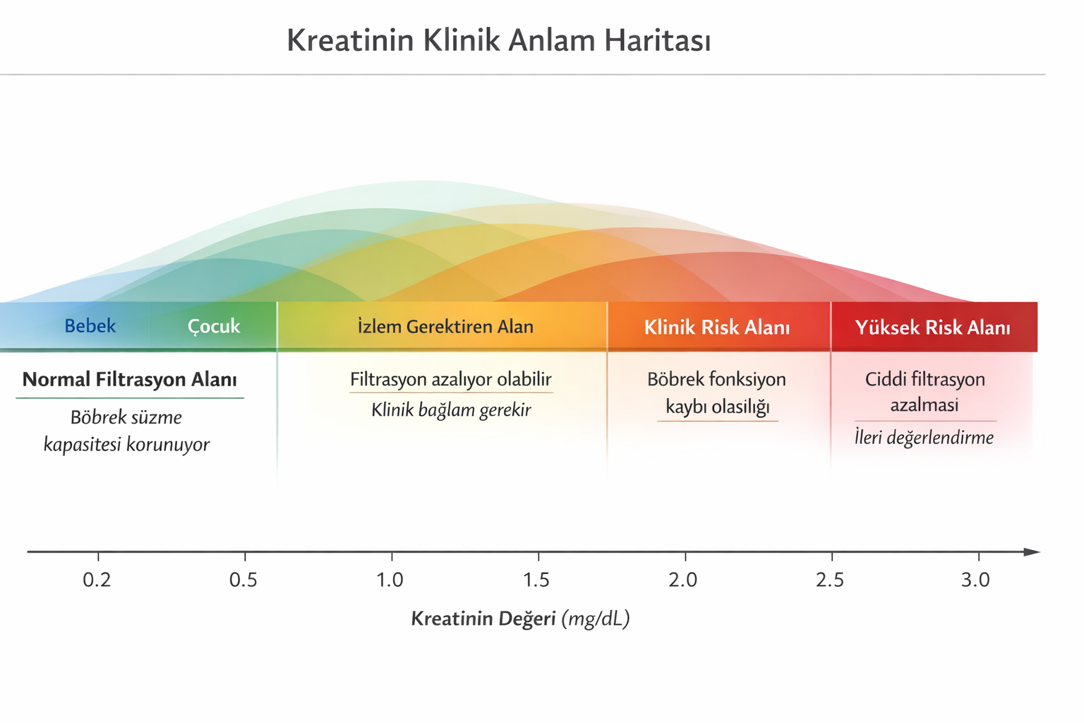 Kreatinin Testi