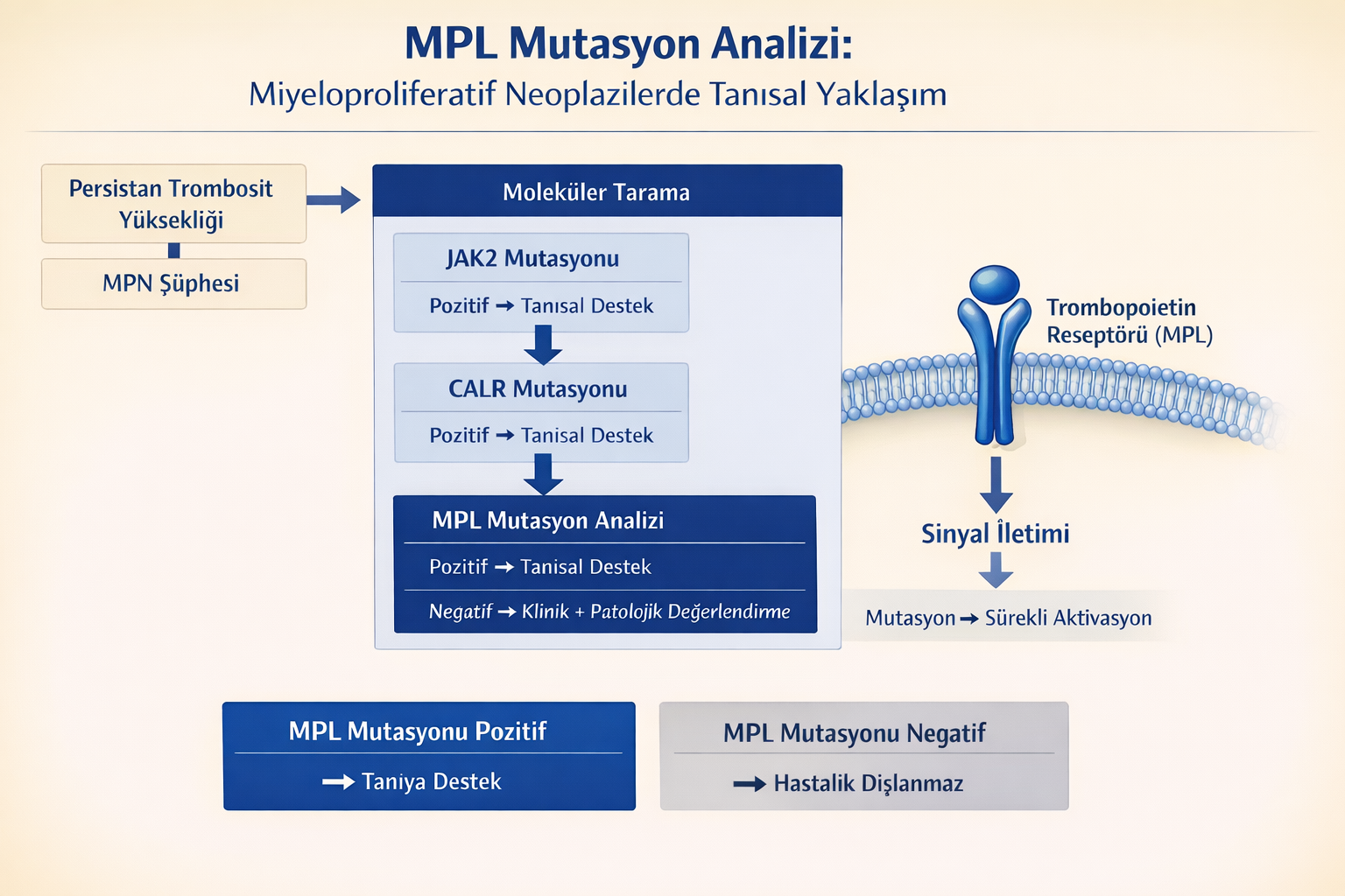 MPL Mutasyon Analizi