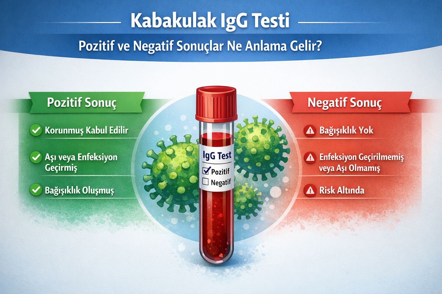 Mumps (Kabakulak) IgG Testi Mumps (Kabakulak) IgG Testi