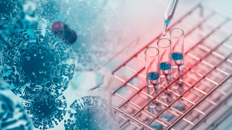 Parvovirüs B19 IgM Testi