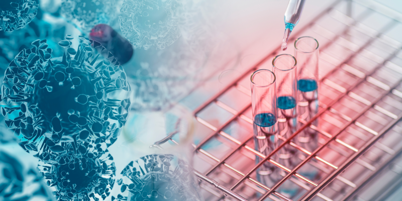 Parvovirüs B19 IgM Testi