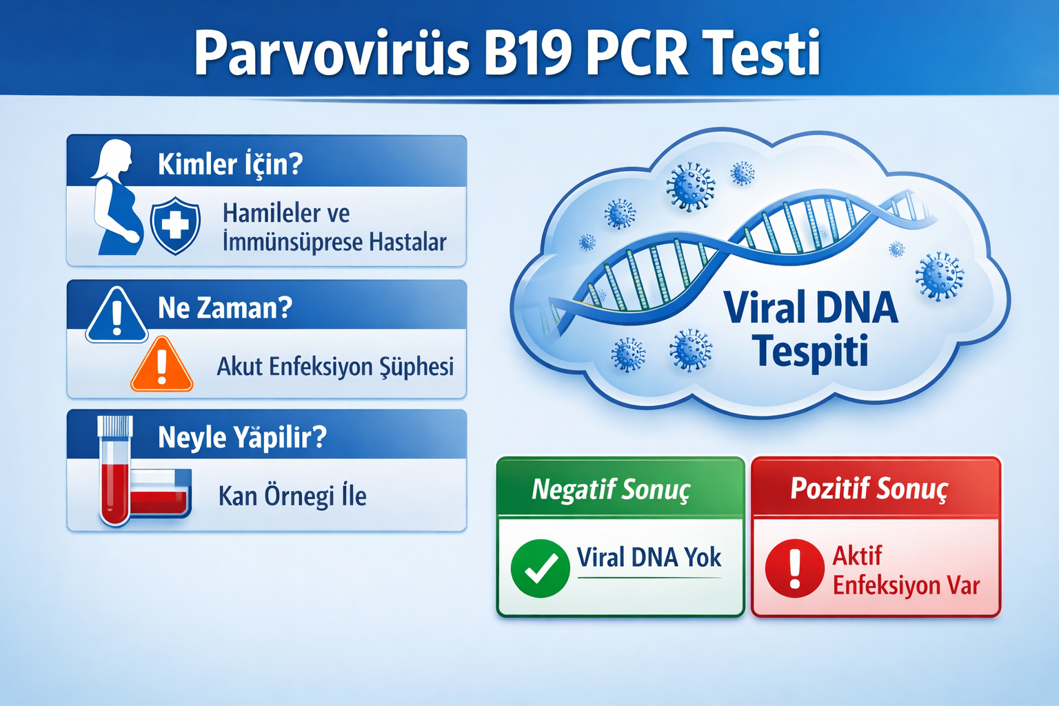 Parvovirüs B19 PCR Testi
