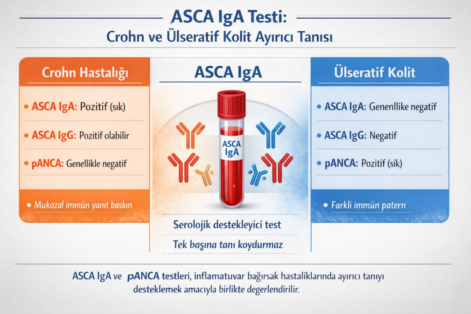 ASCA (Saccharomyces Cerevisiae) IgA Testi Nedir?