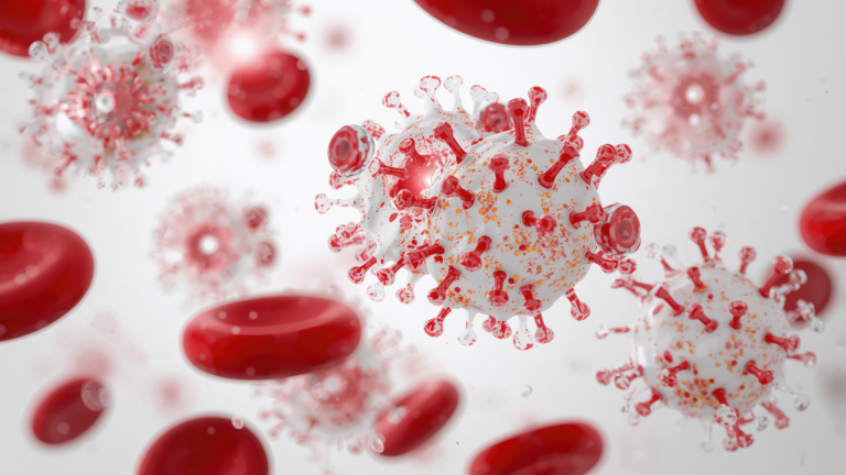 Lenfosit Alt Grupları