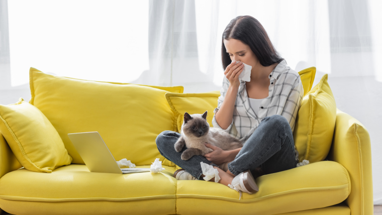 Sp IgE Kedi Alerji Testi