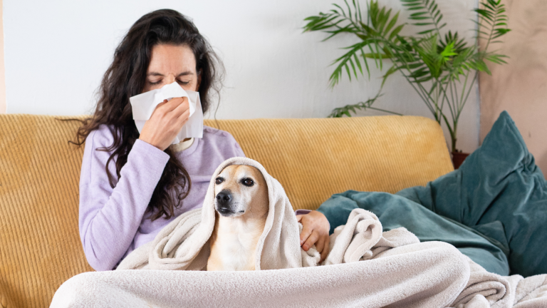 Sp IgE Köpek Alerji Testi