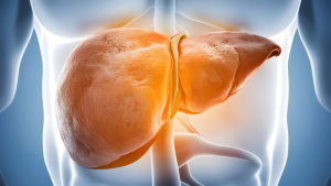 Otoimmün Karaciğer Paneli