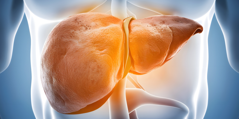 Otoimmün Karaciğer Paneli