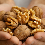 Sp IgE Ceviz Alerji Testi