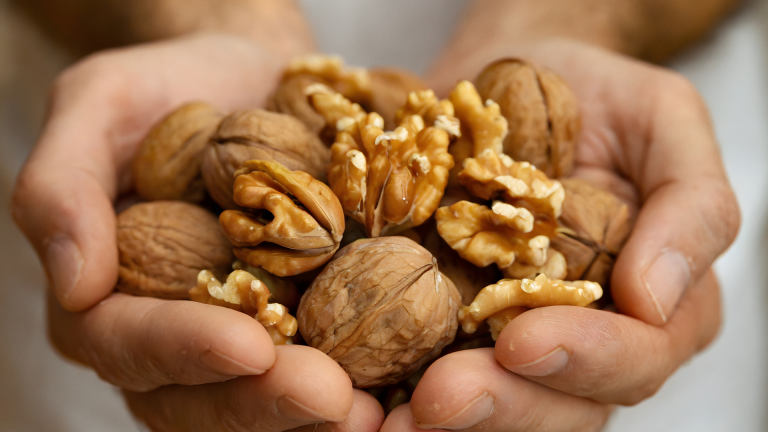 Sp IgE Ceviz Alerji Testi