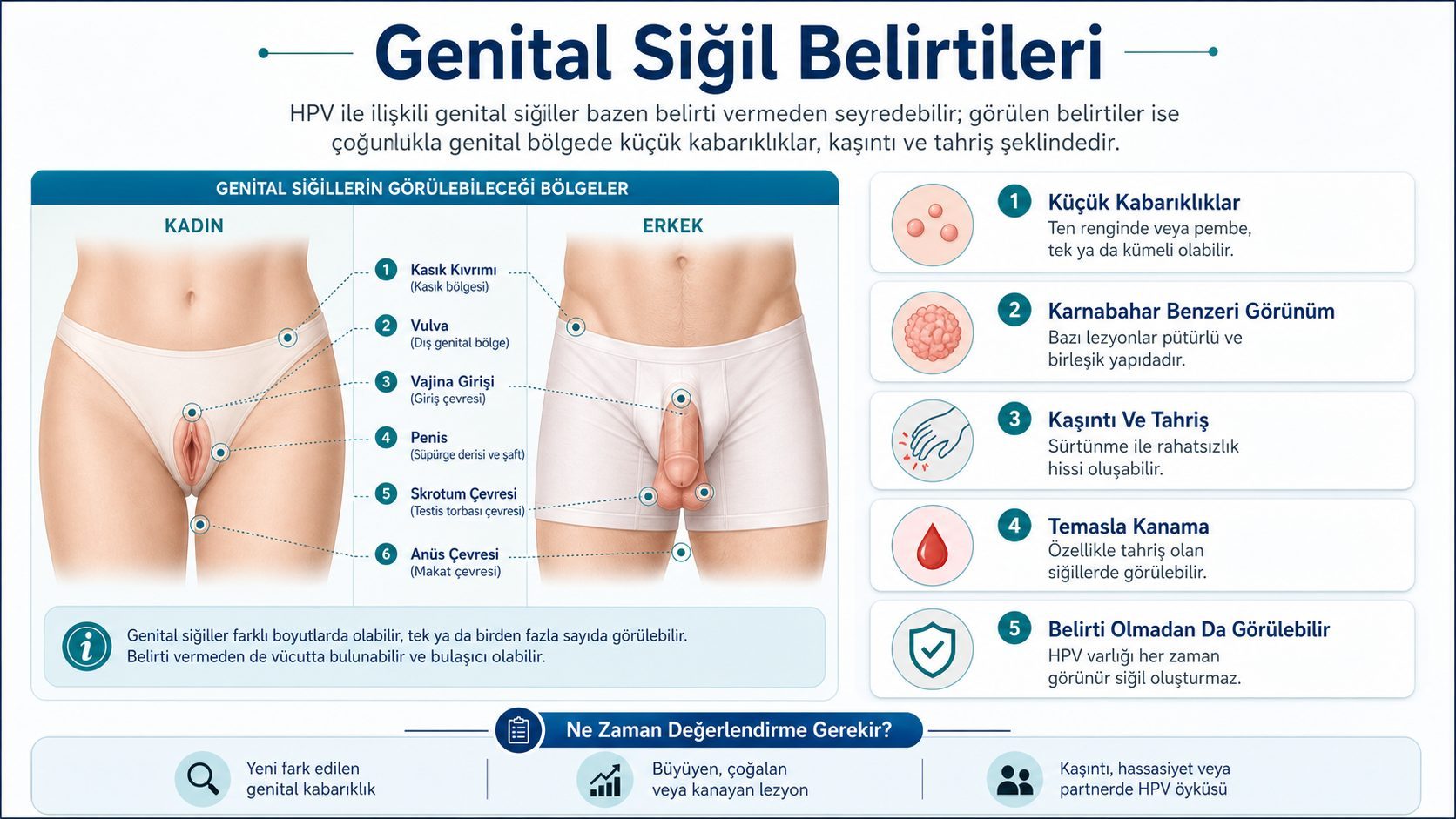 Genital Siğil Belirtileri
