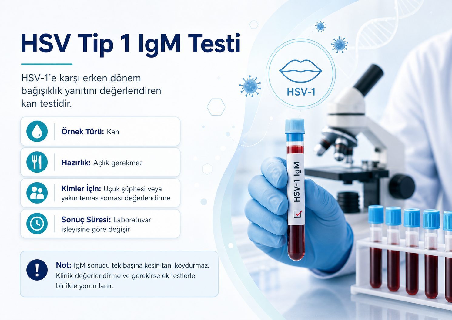 HSV Tip 1 IgM Testi