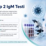 HSV Tip 2 IgM Testi