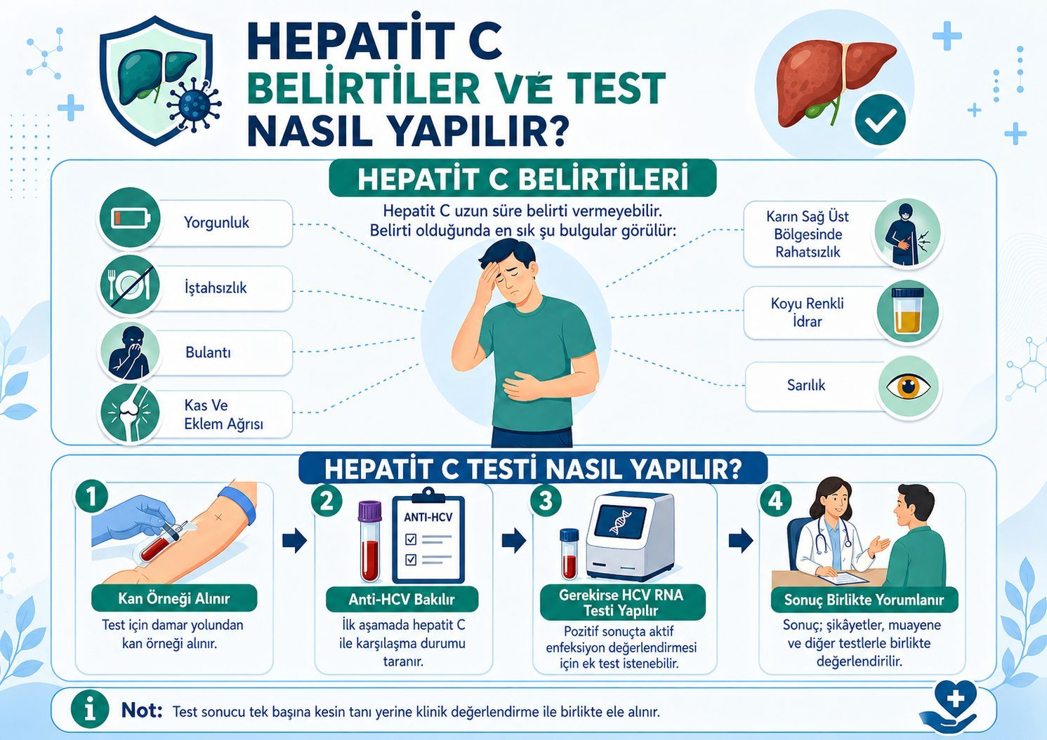 Hepatit C Testi