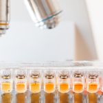 Candida Albicans DNA PCR Testi