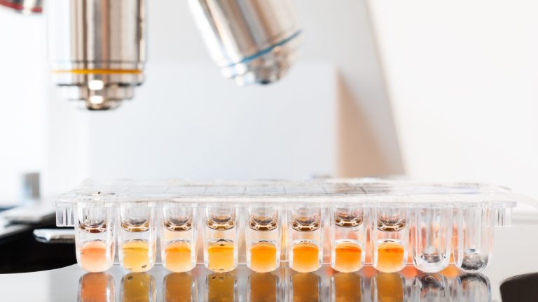 Candida Albicans DNA PCR Testi