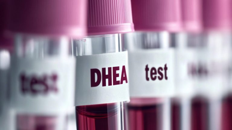 DHEA Testi